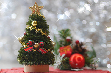 宿泊プラン(クリスマス)